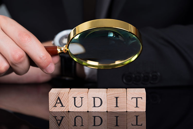 Compliance-Driven Automation for Audit Readiness BPA SaaS