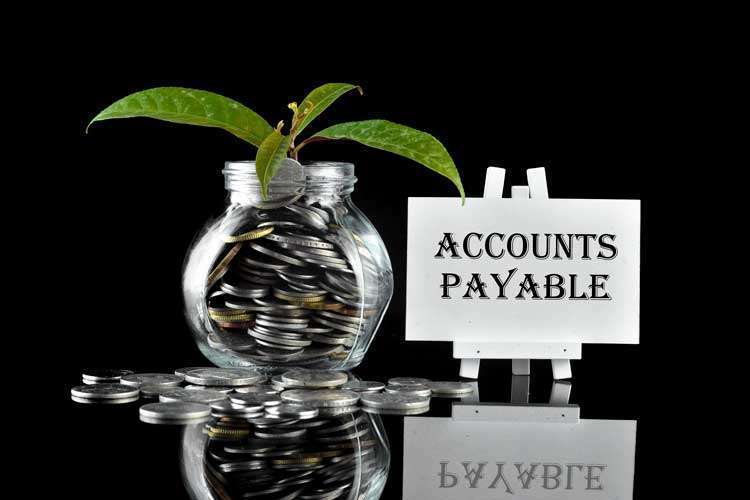 Accounts-Payable-For-Whole-Company