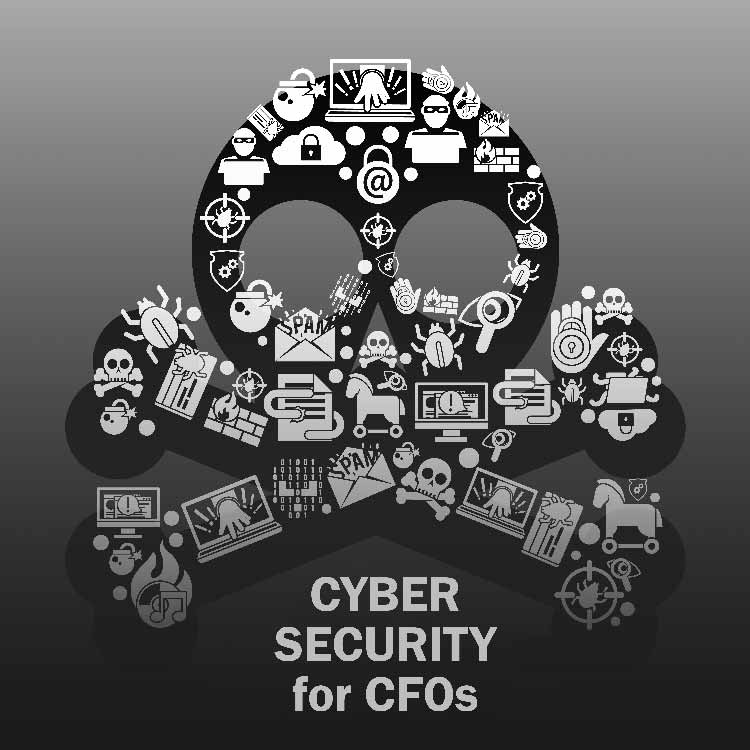 Answering Questions About Risk Assessment and Cyber Security for CFOs